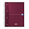 Carnet de notes Oxford Office European Book, DIN A4+, quadrillé, couverture rigide, 5 pièces