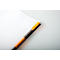 Carnet de notes Rhodia ProBook Rhodiactive, DIN A4+, 80 feuilles, 90g/m², double spirale, perforation 4 trous