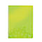 Carnet de notes WOW 4638 LEITZ, format A4, quadrillé, vert