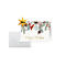 Carte de Noël 'Red berries and pine cones', A6 (A5), 250g/m², 25 pièces, carton blanc, impression jet d'encre &amp; laser