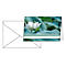Carte funéraire Sigel 'Water Lily', format B6, 115 x 170 mm, avec enveloppes blanches et gommées, vert, carton brillant FSC®, 10 pièces