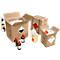 Cartons pour produits dangereux G4, 175 x 155 x 213 mm, 10 pcs.