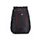 Case Logic Evolution - Notebook-Rucksack - 39.6 cm (15.6') - Schwarz