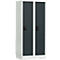 Casier scolaire, largeur de compartiment 300 mm, serrure à cylindre de sécurité, 2 compartiments, gris clair/anthracite