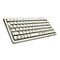 CHERRY Compact-Keyboard G84-4100 - Tastatur - USB - Deutsch - Hellgrau