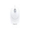 CHERRY WheelMouse M-5400 - souris - PS/2, USB - blanc/gris