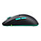Souris d'ordinateur noire avec des touches et des boutons turquoise. Le design est moderne et ergonomique. Sur fond blanc.