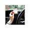Alt texts API call disabled!