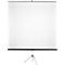 Projection screen on tripod stand. White cloth, black frame and stand, isolated on white background.
