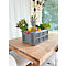 A grey crate filled with fruits and flowers on a wooden table, with a lamp hanging above. Two chairs are ready.
