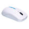 CleanKeys CKM2W - Maus - ergonomisch - optisch - 3 Tasten - kabellos