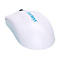 CleanKeys CKM2W - Maus - ergonomisch - optisch - 3 Tasten - kabellos