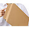 ColomPac verzendzak van golfkarton, geoptimaliseerd voor DHL, 250 x 350 x 80 mm, 20 stuks