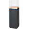 Colonne de présentation, 1 tablette, jusqu'à 30 kg, P 350 x H 1190 mm, bois de cerisier/plexiglas, noir mat