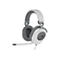 Weiß-graues Gaming-Headset, Mikrofon, Kabel. Auf weißem Hintergrund. Mit Logo auf dem Ohr.