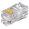 Transparenter RJ45-Stecker mit goldenen Kontakten und Verriegelung.