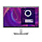 Dell P2423D - LED-Monitor - 60.5 cm (23.8') - 2560 x 1440 QHD @ 60 Hz - IPS - 300 cd/m²