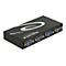 Delock Switch VGA 4 port manual bidirectional - Bildschirm-Switch - 4 Anschlüsse