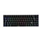 Schwarze Gaming-Tastatur mit kompakter Anordnung und bunter RGB-Hintergrundbeleuchtung vor weißem Hintergrund.