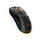 Schwarze Gaming-Maus mit Wabenmuster und bunter RGB-Beleuchtung vor weißem Hintergrund.