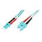 Zwei blaue Glasfaserkabel mit roten und schwarzen Enden und weißen Markierungen. Die Stecker sind hellblau.