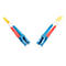 Zwei blaue und rote Glasfaserkabel mit blauen Steckern, die auf weißem Hintergrund liegen.