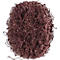 Disque abrasif non-tissé POLINOX D.40mm medium 100 brun PFERD, 100 pièces
