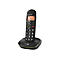 DORO PhoneEasy 100w - Schnurlostelefon mit Rufnummernanzeige - DECTGAP - Schwarz
