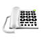 Festnetztelefon in Weiß mit großen Tasten und klarer Beschriftung.