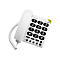 Téléphone blanc avec de gros boutons. Le clavier indique PhoneEasy et les chiffres 0-9, * et #.
