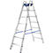 Dubbele trapladder, 2 x 6 sporten, + toolbag GRATIS