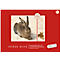 Dürer Hase Zeichenblock, A4, 18 Blatt