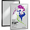 Durable Inforahmen DURAFRAME® Poster, A2 Hoch-/Querformat, für 2 Poster, selbstklebend, aufklappbarer Magnetrahmen, B 465 x T 28 x H 639 mm, PET, schwarz