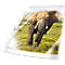 DURABLE insteekhoesje Business, A4, bovenaan open, 100 stuks, generfd, transparant