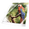 Duurzame brochurehoes, met witte rand, DIN A4, universele perforatie, documentbestendig, 25 stuks, 80 mµ, glashelder