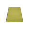 A rectangular green rug with a black border, lying on a white background.