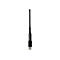 Schwarze WLAN-Antenne mit seitlichem WPS-Beschriftung auf weißem Hintergrund.