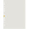 Elba folderhoezen, voor DIN A4, gerecycled polyetheen, 80µm, generfd, transparant, 100 stuks