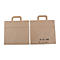 Zwei braune Papiertüten, mit Henkeln, auf weissem Hintergrund. Eine Tasche zeigt die Vorderseite, die andere die Rückseite.