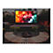 Elite Screens Yard Master 2 Series OMS135H2 - Projektionsschirm mit Beinen - 343 cm (135') - 16:9 - CineWhite