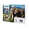 Epson Tintenpatronen-Multipack, zeigt einen Elefanten. Die Verpackung enthält verschiedene Farben.