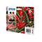 Multipack de cartouches d'encre Epson 503 sur un fond de piments rouges et verts.