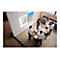 Epson EB-FH08 - 3-LCD-Projektor - tragbar - 3600 lm (weiß) - 3600 lm (Farbe) - Full HD (1920 x 1080)