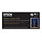 Epson Premium Canvas Satin Produktverpackung mit technischen Daten und einem blauen Kunstdruck-Motiv.