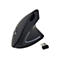equip 245110 - Vertikale Maus - ergonomisch - Für Rechtshänder - kabellos - 2.4 GHz