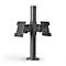 Ergonomic Solutions New SpacePole Back-to-back Screen Mount, VESA 75/100 -