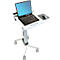 Ergotron Neo-Flex 24-205-214 laptoptrolley, zit- of stawerkplek, in hoogte verstelbaar, voor 17″ laptops, tot 6,8 kg, grijs.