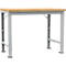 Établi Profi Spezial Manuflex, plateau de table en multiplex, 1250 x 700 mm, alu argent