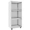 Étagère à dossiers Ulas, 3 hauteurs de classeurs, 2 tablettes, pour env. 18 classeurs, L 490 x P 320 x H 1080 mm, bois, blanc