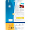 Etiketten HERMA 4577, 210 x 297 mm, 20 stuks, op DIN A4, weerbestendig, zelfklevend, sterk klevend, polyesterfolie, mat wit
